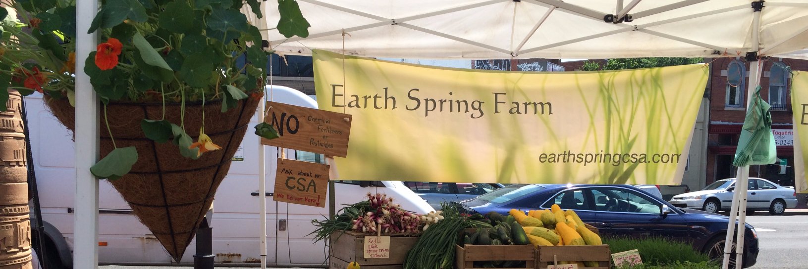 EarthSpringCSA's profile banner image