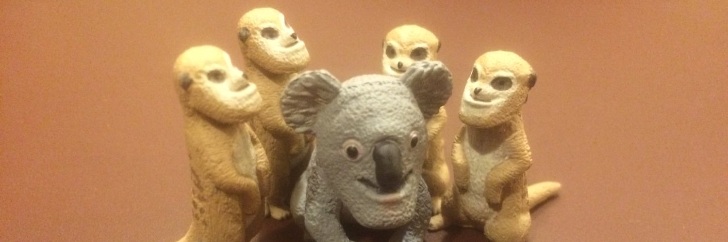 PTortoise's profile banner image