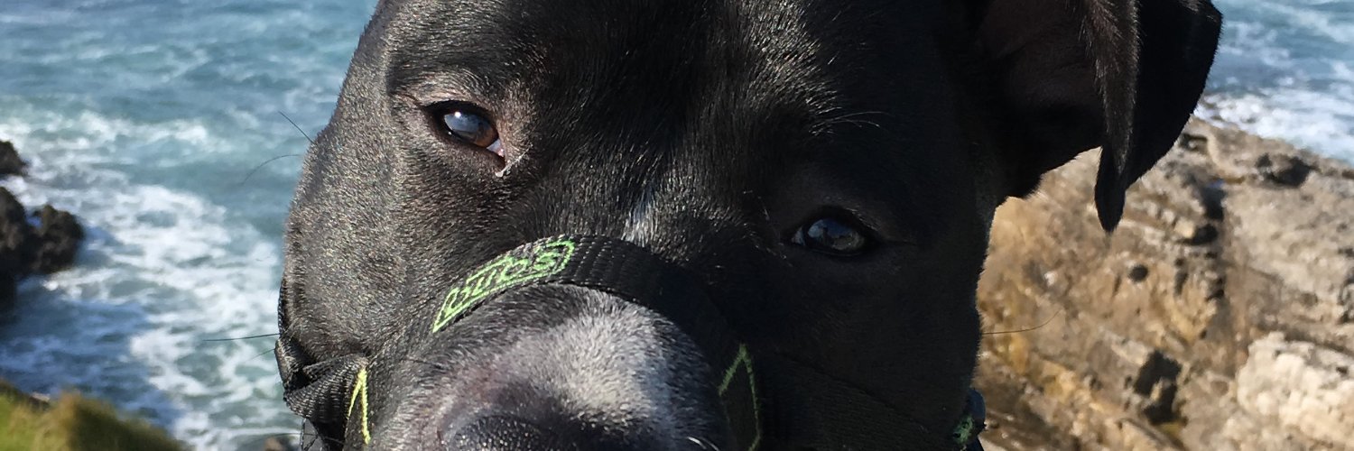 ivanukuXCI's profile banner image