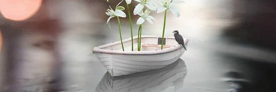 Al_mrwani1's profile banner image