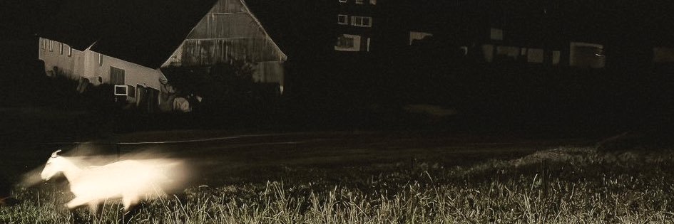 DionPiehl's profile banner image
