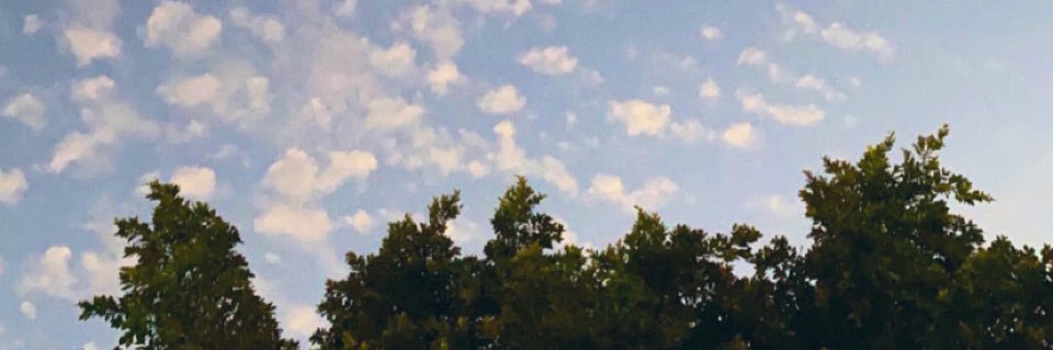 jereraffe's profile banner image