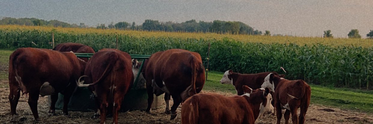 Kalyn Kalis (Naatz) banner