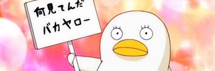 i_erre's profile banner image