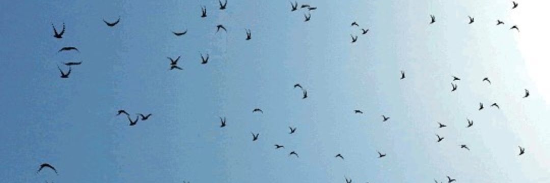 sugh_96's profile banner image