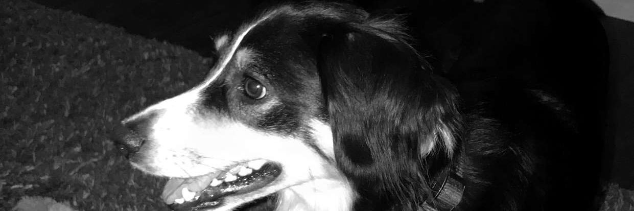kodey_price's profile banner image