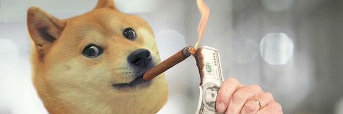 nojejenocrypto's profile banner image