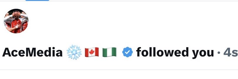 AceMedia ❄️🇨🇦🇳🇬 banner