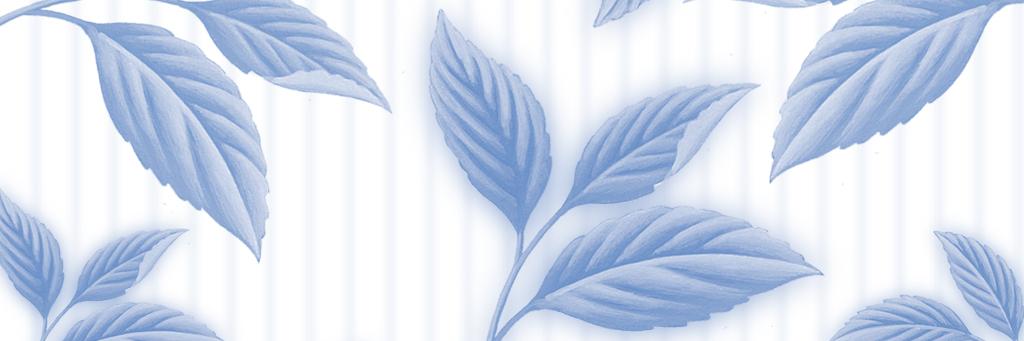 chayama's profile banner image
