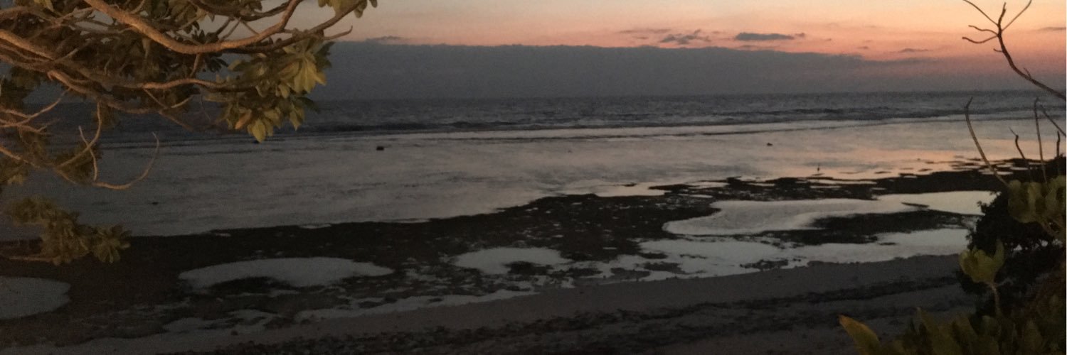 Aallyy1's profile banner image
