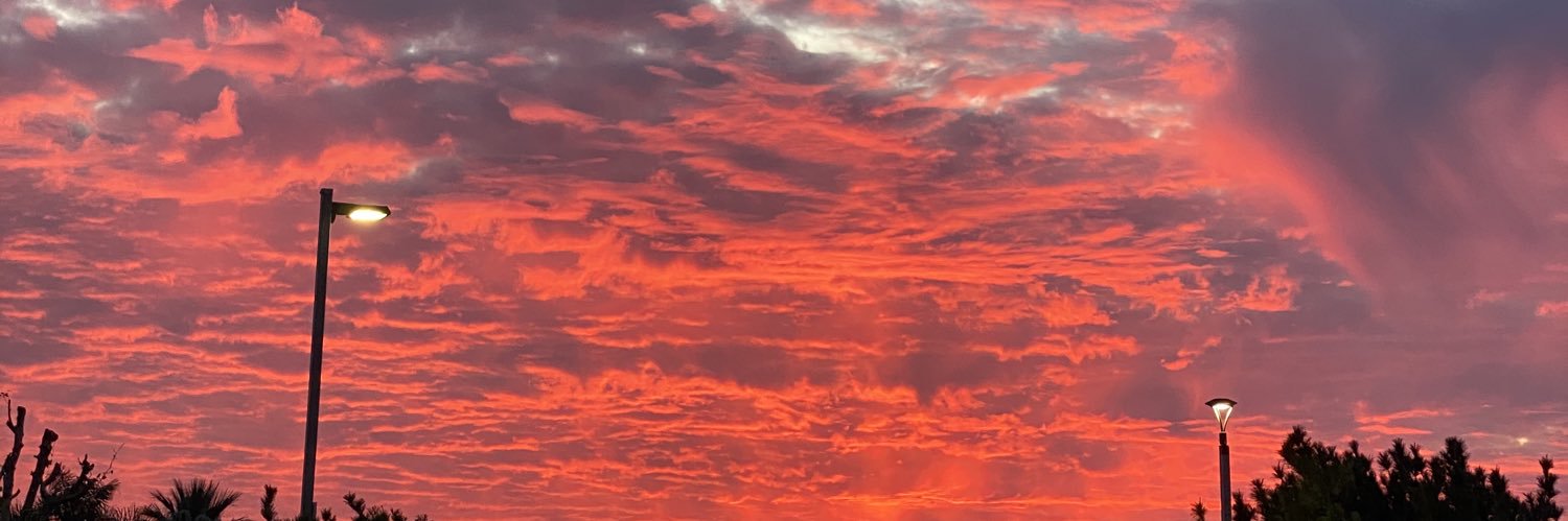 vsanchez_2's profile banner image