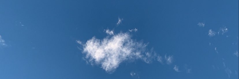 alec banner