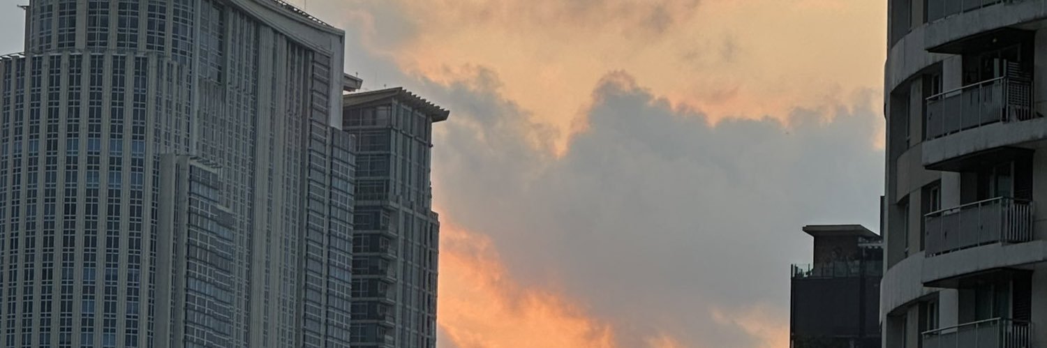 punnyily's profile banner image