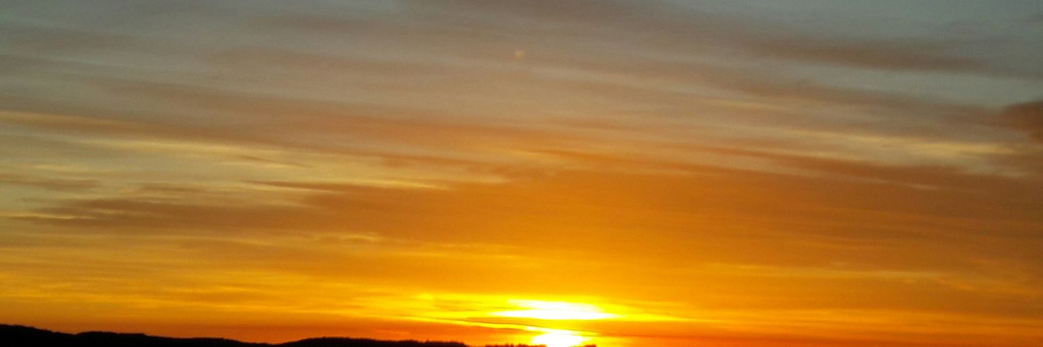 m_bartoli's profile banner image