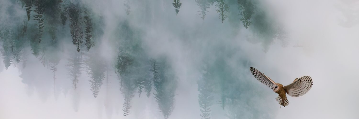 Clément Carron banner