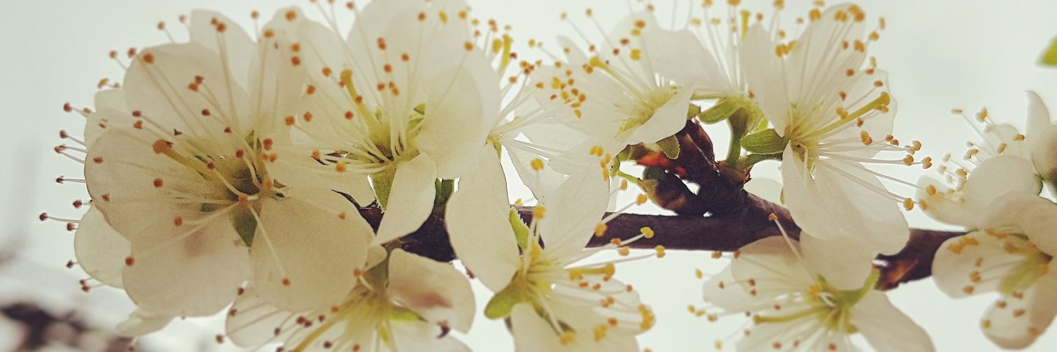 morgane9256's profile banner image