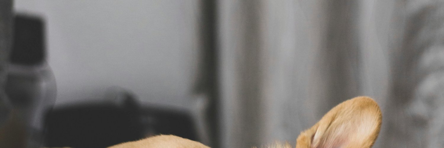ericota000's profile banner image