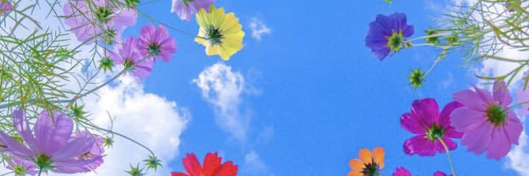 ffionxw's profile banner image