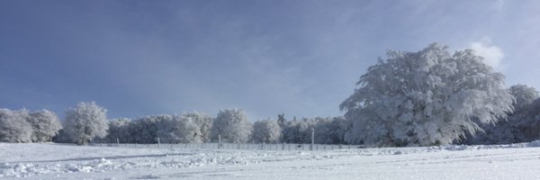 MartiniPierre Profile Banner