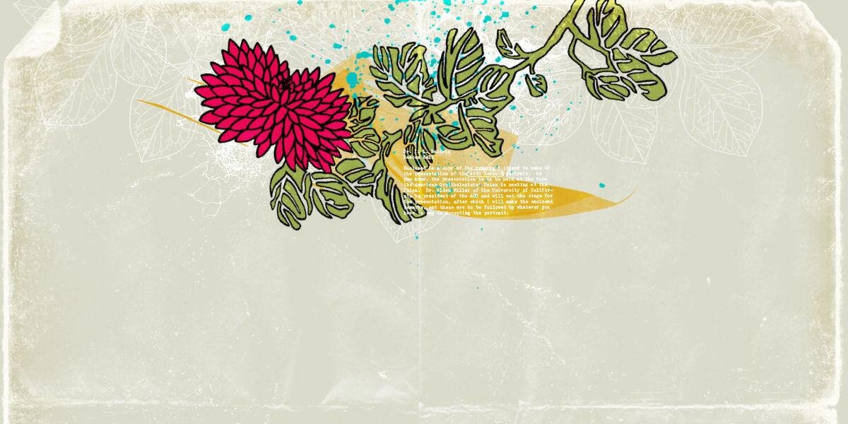 Pupuutc's profile banner image