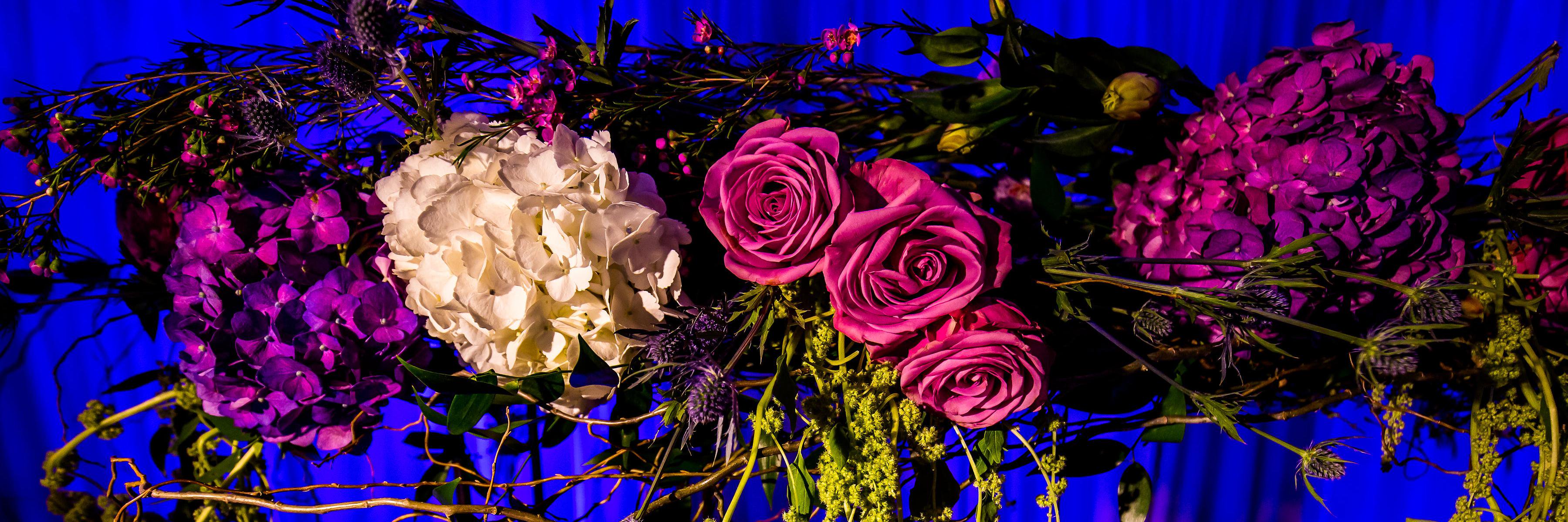 Amy4URWedding's profile banner image