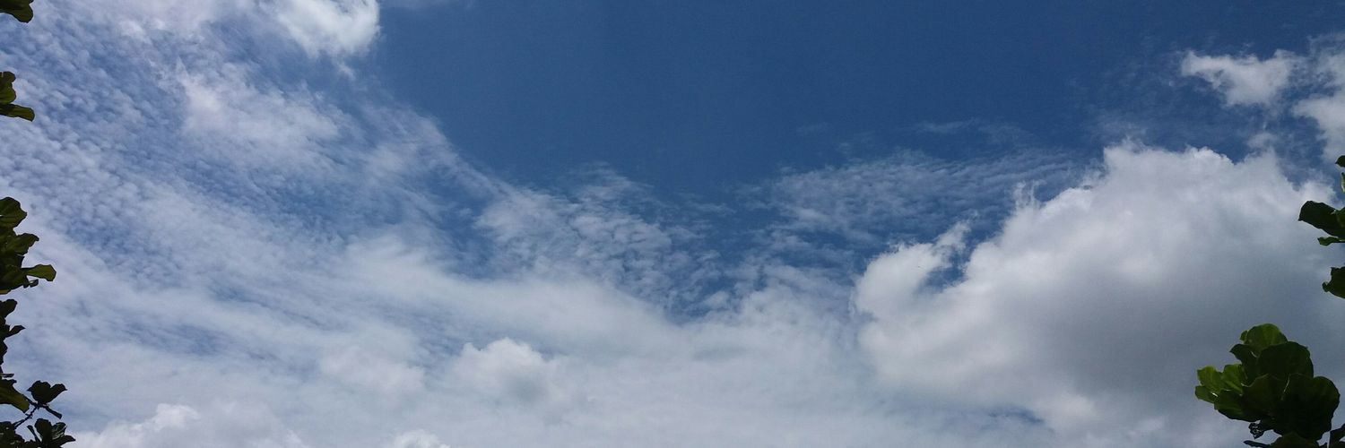 nicky_giann's profile banner image