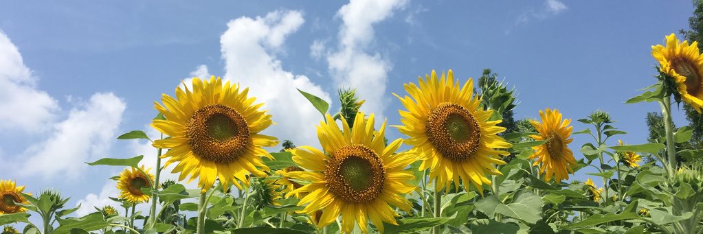 wtmjdpg's profile banner image