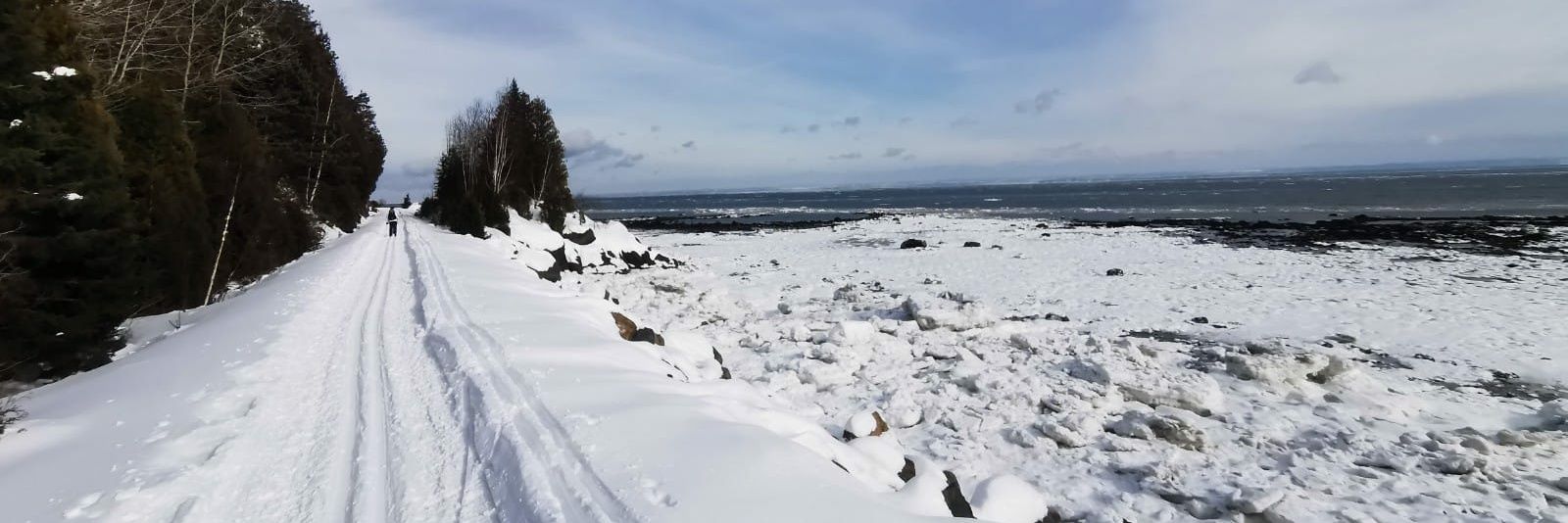 Delphine Davan 🌎 banner