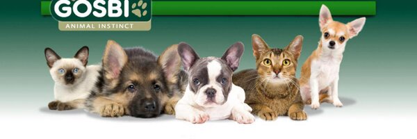 Gosbicom Profile Banner