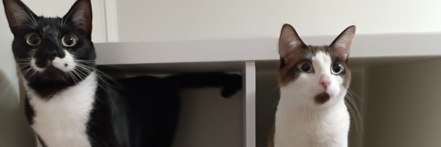 Blessed_charm's profile banner image