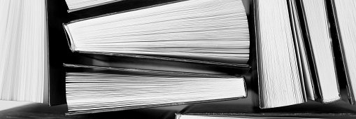 Guillaume Deneufbourg banner