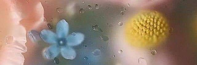 allyssamanic's profile banner image