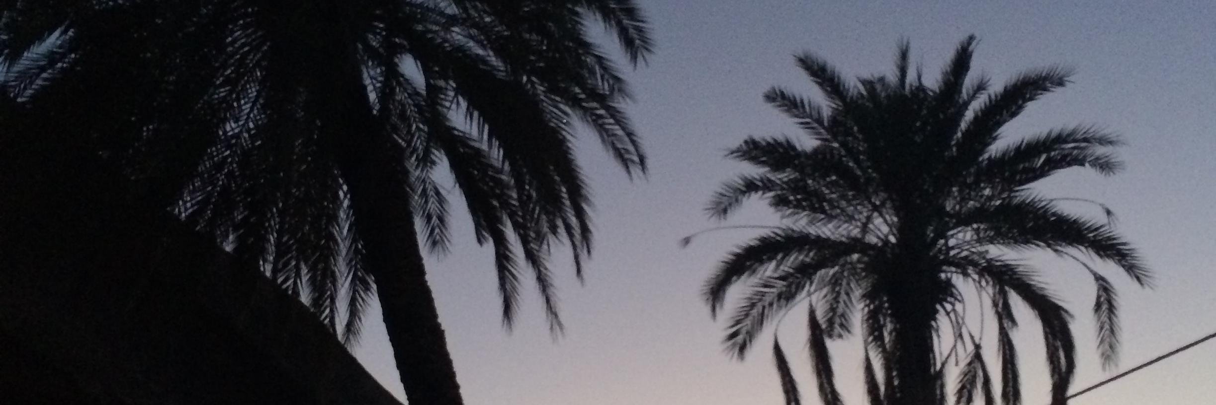 ksa_730's profile banner image