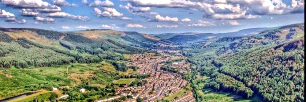 Dr Gavin Williams banner