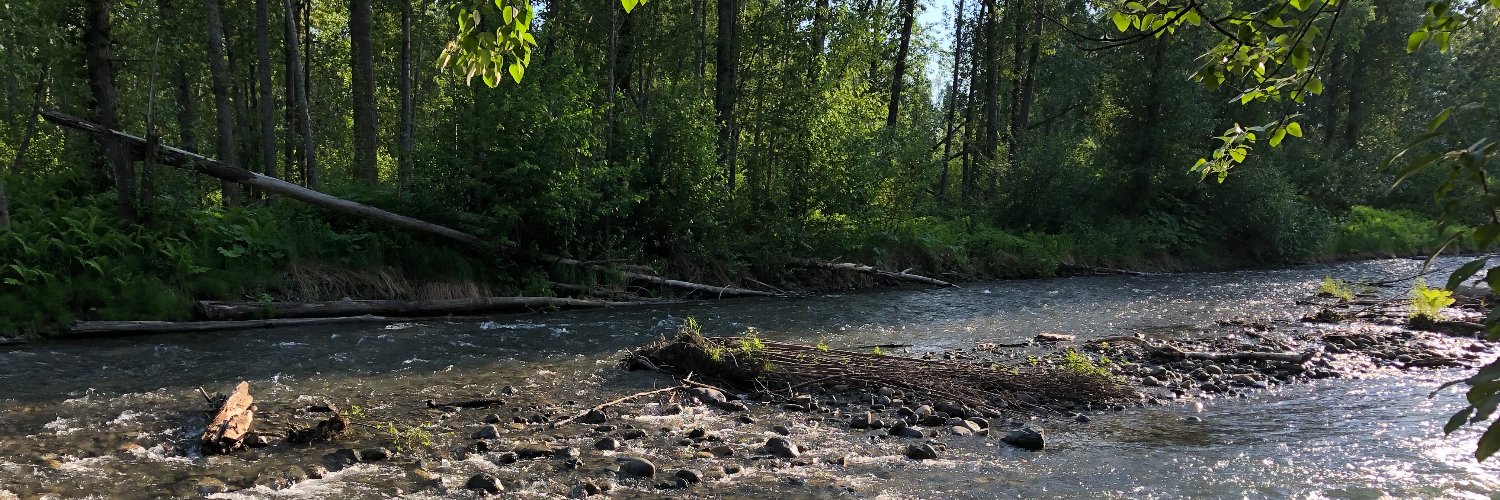 Jennifer Weaver banner