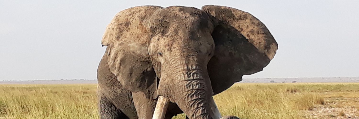 james_muya's profile banner image