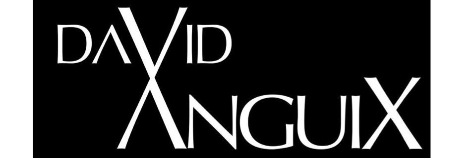 AnguixDavid's profile banner image