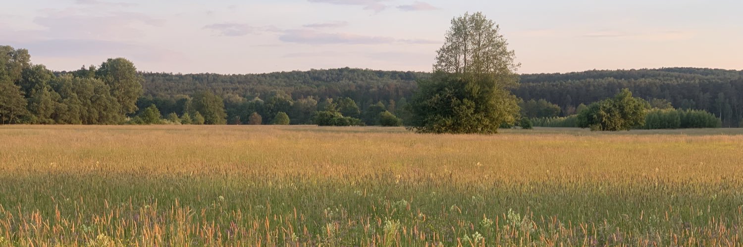 Adam Chomicki banner