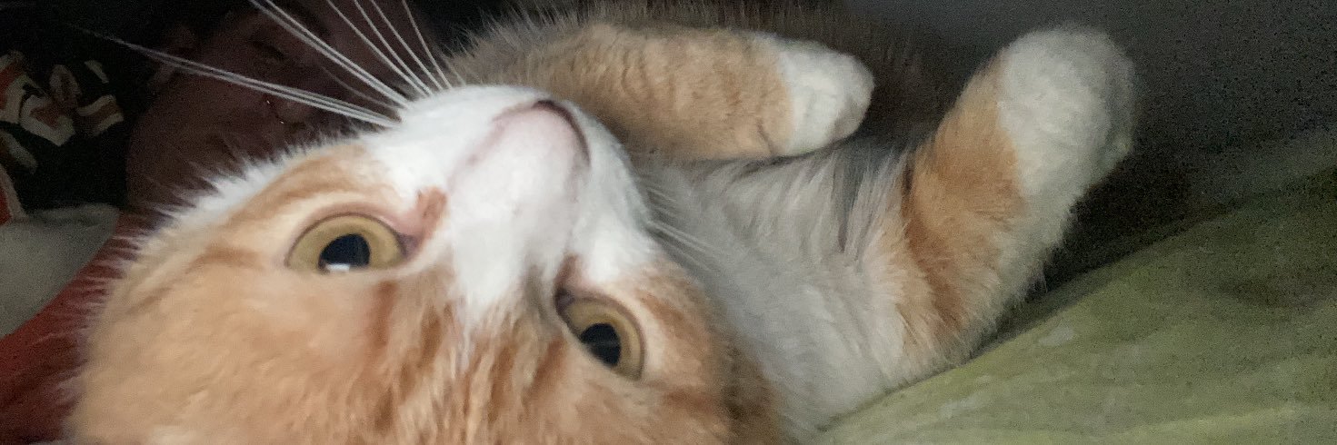FlNNAMY's profile banner image