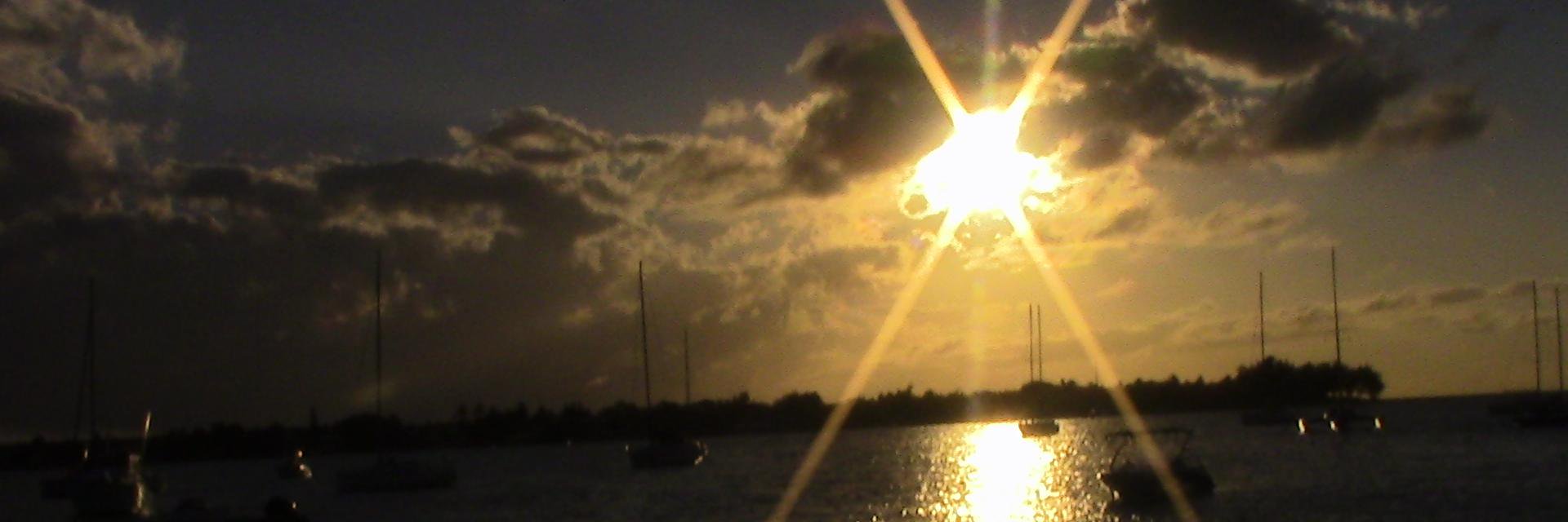 Natashia Bearam-Edmunds banner