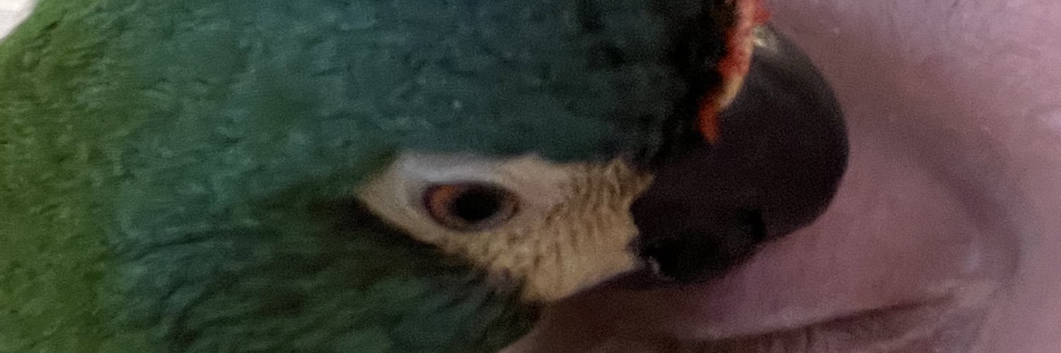 SiToots's profile banner image
