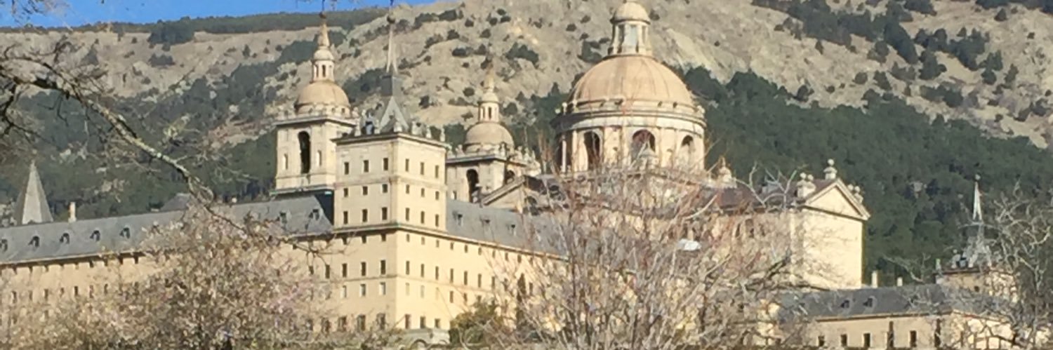 Rolamo banner