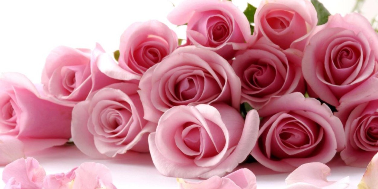 isma_inp's profile banner image