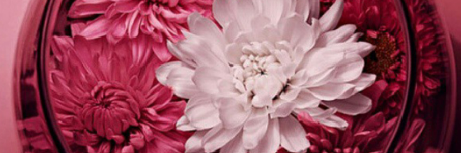 ILY_Moni's profile banner image