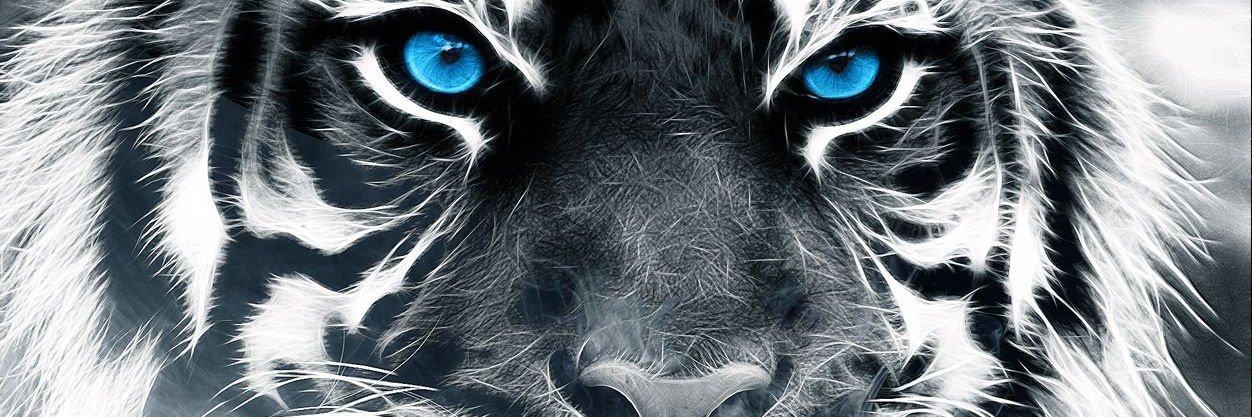 _danigalan_'s profile banner image