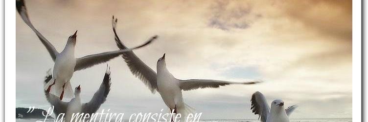 q_sconsulting's profile banner image