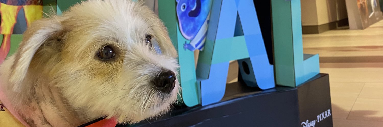 elroikyle's profile banner image