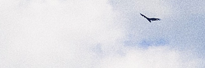 drinjohn_'s profile banner image