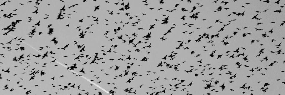 davoidson's profile banner image