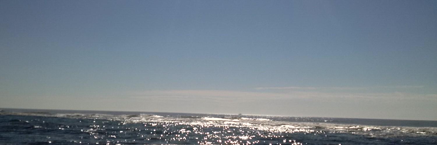 Mary_Varano's profile banner image